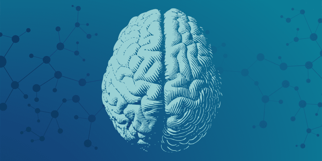 A brain image designed with the science of infographic design, set against a blue background.
